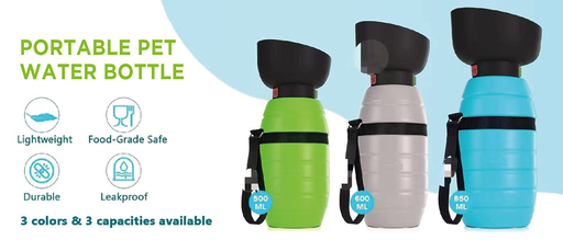 Water Bottle